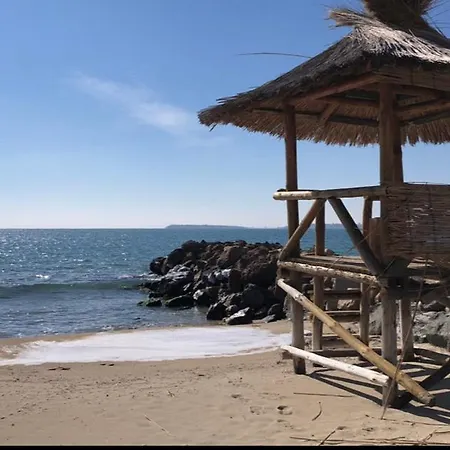 Vesi комплекс Artur