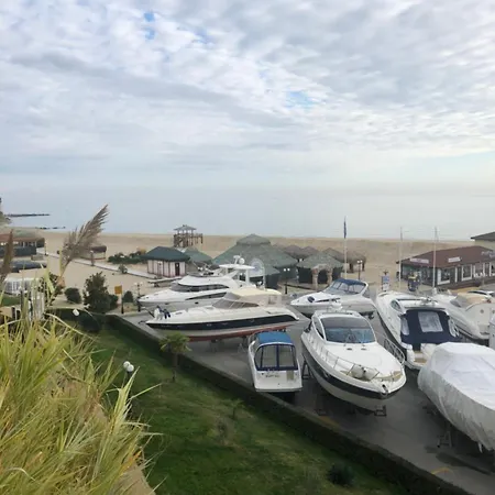 Vesi комплекс Artur