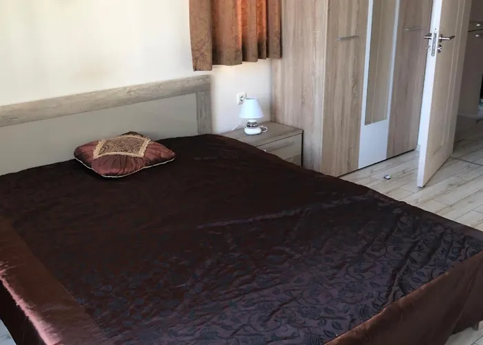 Vesi комплекс Artur * 圣弗拉斯