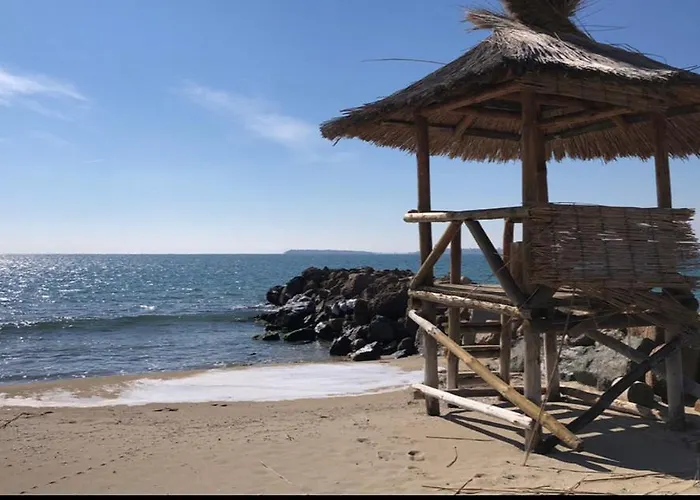 Vesi комплекс Artur