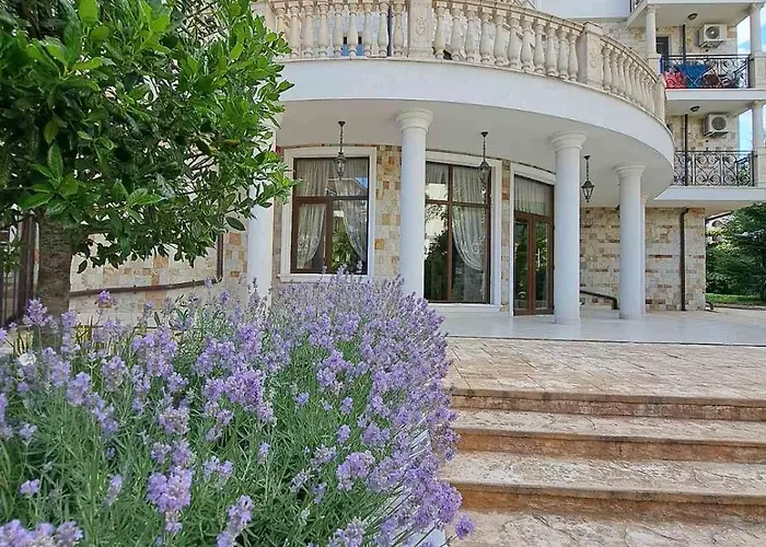 Vesi комплекс Artur